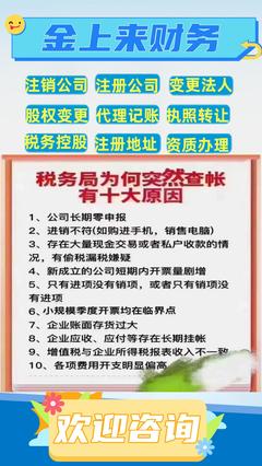 文昌市股权变更办理流程与财务咨询指南
